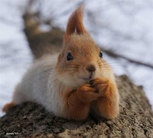 20 удивительных явлений природы, в которые трудно поверить