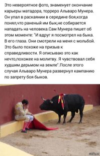 Интересные и редкие фотографии