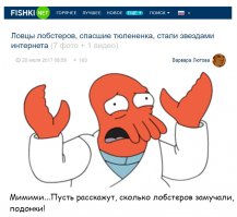 Ловцы лобстеров, спасшие тюлененка, стали звездами интернета