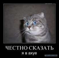 Жуткое нападение африканского паука-каменщика на сверчка