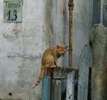 У меня жуткое подозрение, что это фото стало для фотографа последним. Уж больно у ржавого товарища лицо недоброе.