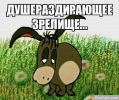 Жуткое нападение африканского паука-каменщика на сверчка