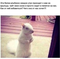 Белка каг бы намекает, что пить надо меньше.