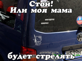 Автовсячина
