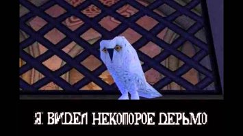 Свидетель из Фрязино: ушёл, чтобы остаться