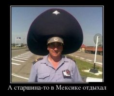 Что такое мицнефет