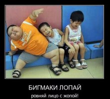 Секреты из закрытого мира бойцов сумо