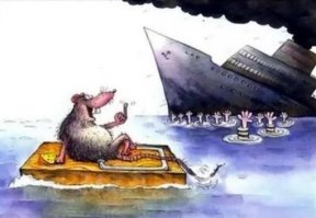 Крысы могут приносить пользу