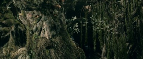 Отчего-то вспомнилось:
"Конечно, конопля - это дерево... Только ему вырасти не дают..."