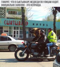 Подборка автомобильных приколов