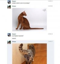 Смешные комментарии и высказывания из социальных сетей