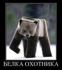 Белки синтезировали из углекислого газа и электричества