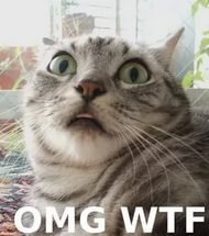 Выберите своё тотемное животное