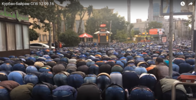 Вот вся их сущность!