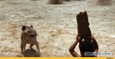 Что серьезно что ли? А еще можно на голову поставить досочку чтобы обмануть .. животных...  Внимательного противника хрен таким тупым приемом обманешь.