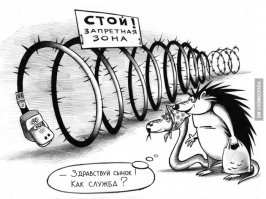 Выберите своё тотемное животное