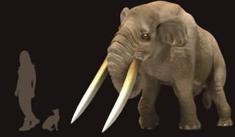 Автор, почему нет картинки? Исправляю вашу ошибку.