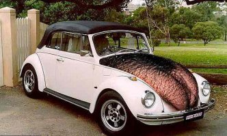 Подборка автомобильных приколов