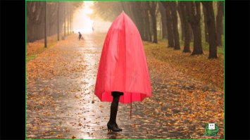 Китайские дизайнеры придумали дождевую шляпу