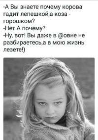 Выберите своё тотемное животное