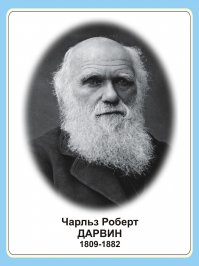 Авария дня. Ну зато повернул красиво