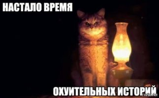 Кот (осторожно криптота)