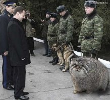 Я бы не сказал..