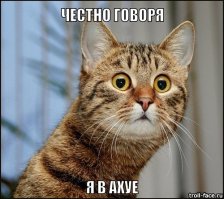 Самый быстрый рот на Востоке