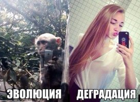 Чем на самом деле мы отличаемся от обезьян