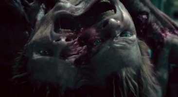 Необычные деревья из разных уголков планеты