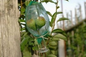 Очень просто.