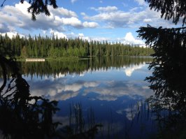 Я люблю свой город, да и область. Только что с рыбалки вернулся, прогуливал москвичей.