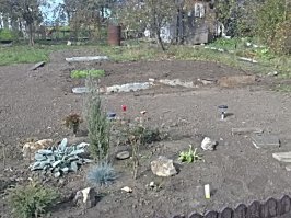 А моя вот. За три года потихоньку освоила и развила)))