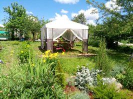 А моя вот. За три года потихоньку освоила и развила)))