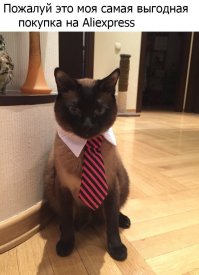 Блин, такой классный галстук коту отдавать , сам носить буду