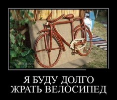 А не заделать ли нам колбаски домашненькой?