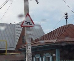 с бутылкой запрещено, а без бутылки - можно.