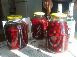 Как сделать настойку черешни на водке. Пошагово и подробно