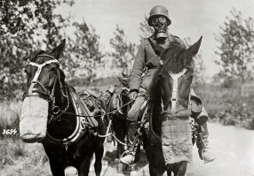 Снимки с Великой войны, Первая Мировая