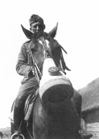 Снимки с Великой войны, Первая Мировая