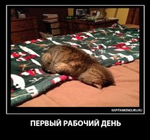 Выходные украли цыгане