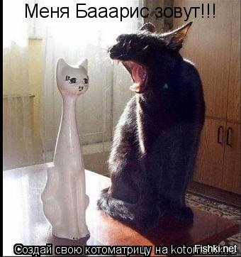 Удивительные животные, которые маскируются лучше, чем ниндзя