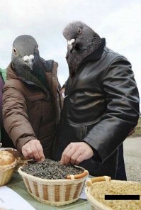 Гопник Лайфстайл: я четкий пацан, я по жизни в теме!