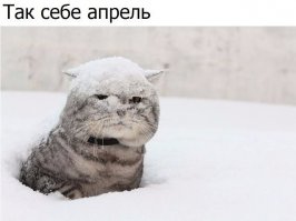 Из князей в грязь: 15 знаменитостей, которые оказались в нищете