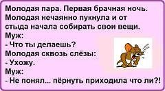 Смешные картинки, надписи и комментарии отовсюду