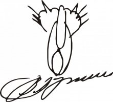 А про этого кота забыли?