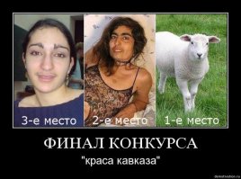 Вот они, лучшие из лучших!