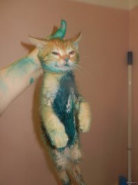 точно-точно.. коты такого не могут!
