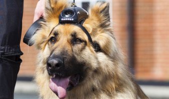 Картинки с надписями