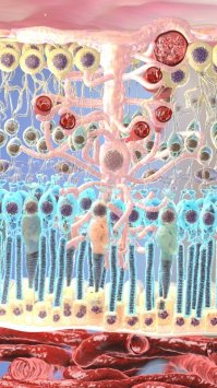 Фото тусы из клуба, на вечеринке полосатых штанов.